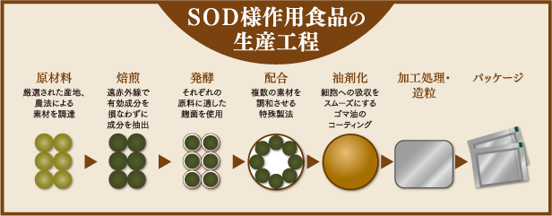 SOD様作用食品の生産工程